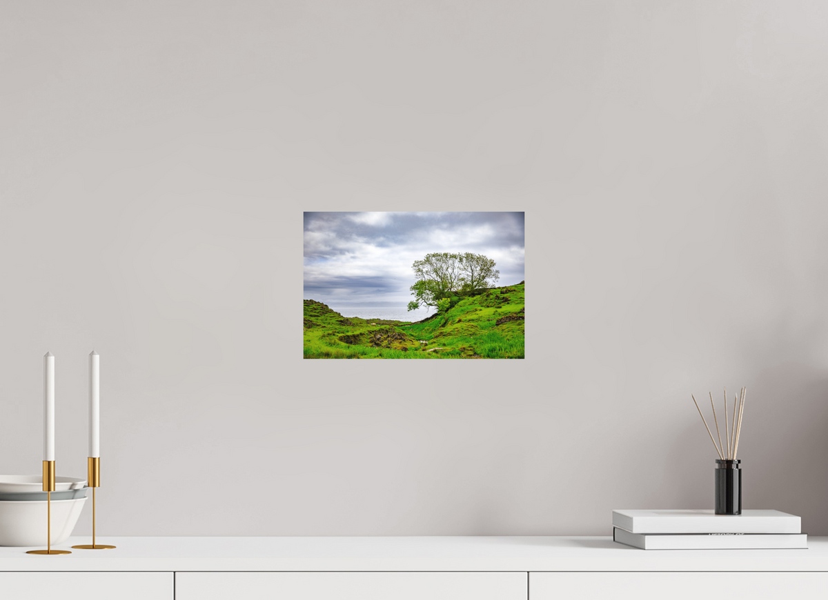 30 x 20 cm, Dibond Alu Colour Mat Surviving Tree on the Edge