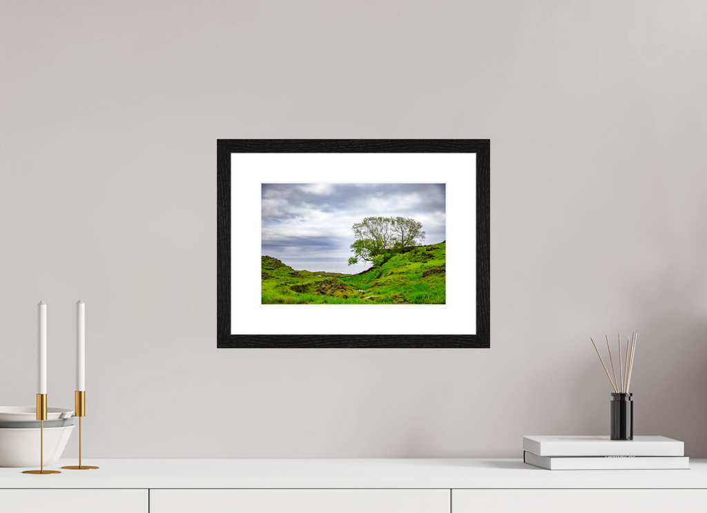 30 x 20 cm, Black Frame Colour Fuji Gloss Surviving Tree on the Edge