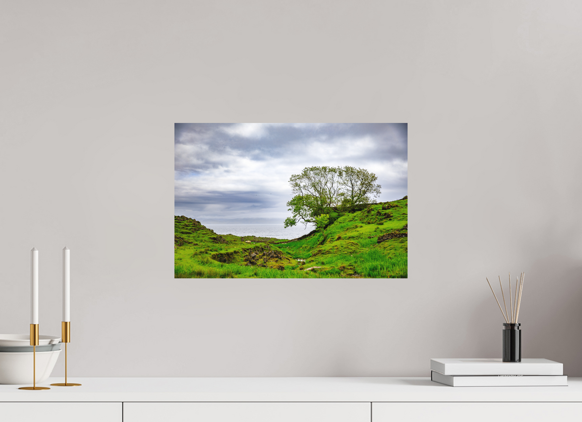 45 x 30 cm, Dibond Alu Colour Mat Surviving Tree on the Edge