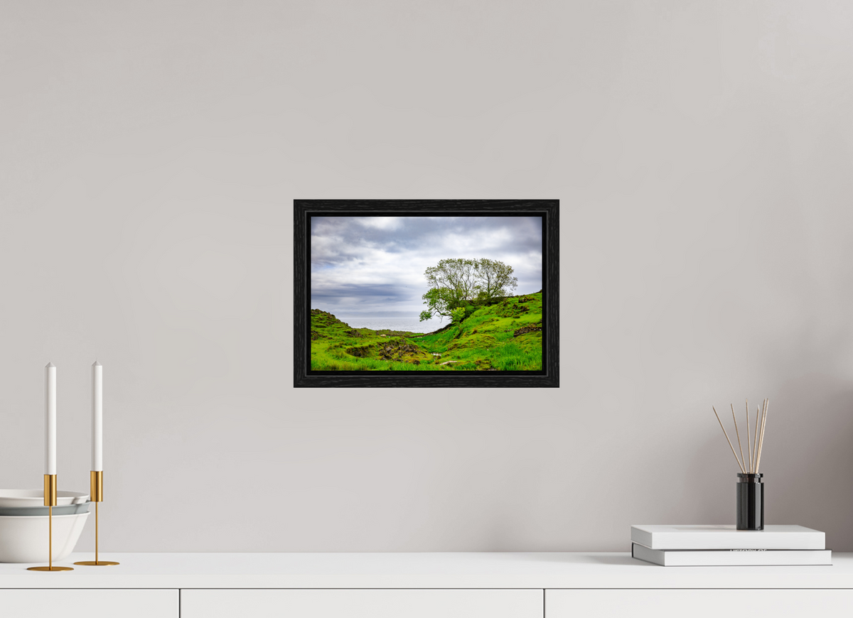 30 x 20 cm, Floater Frame Surviving Tree on the Edge