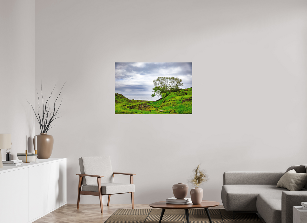 105 x 70 cm, Dibond Alu Colour Mat Surviving Tree on the Edge