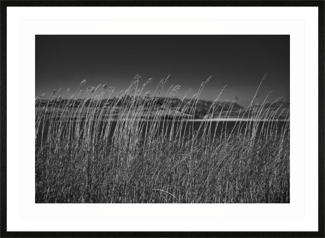 Main image Loch in the Background