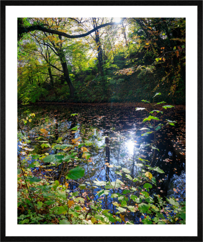 Main image Fall on water