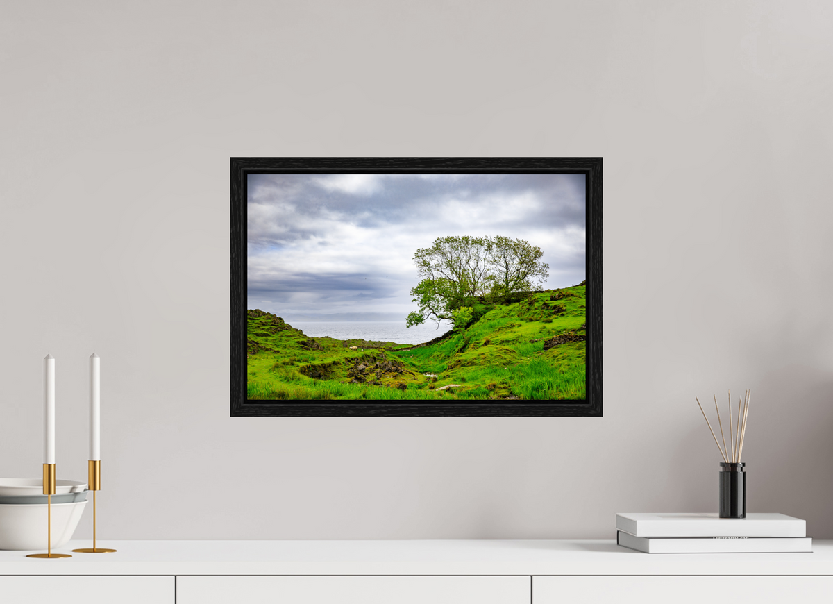 45 x 30 cm, Floater Frame Surviving Tree on the Edge