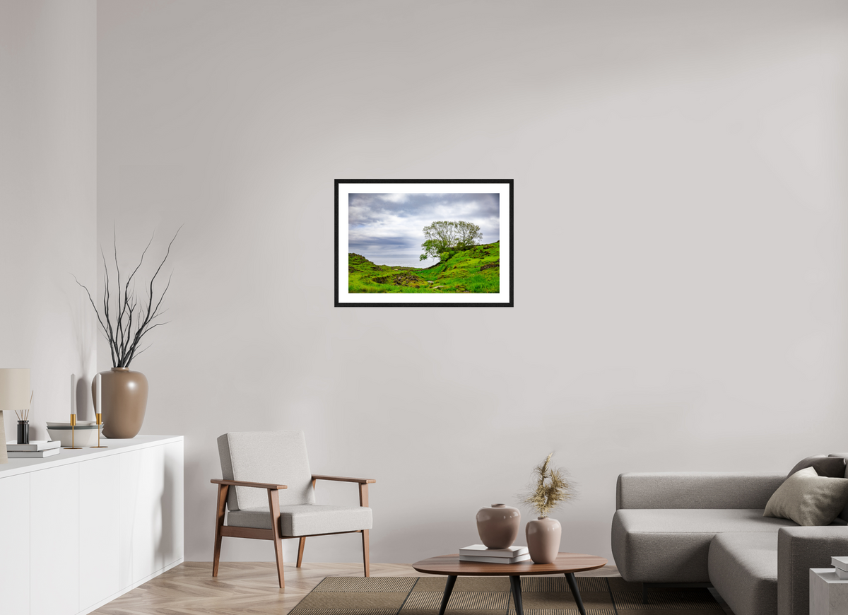 75 x 50 cm, Black Frame Colour Fuji Gloss Surviving Tree on the Edge